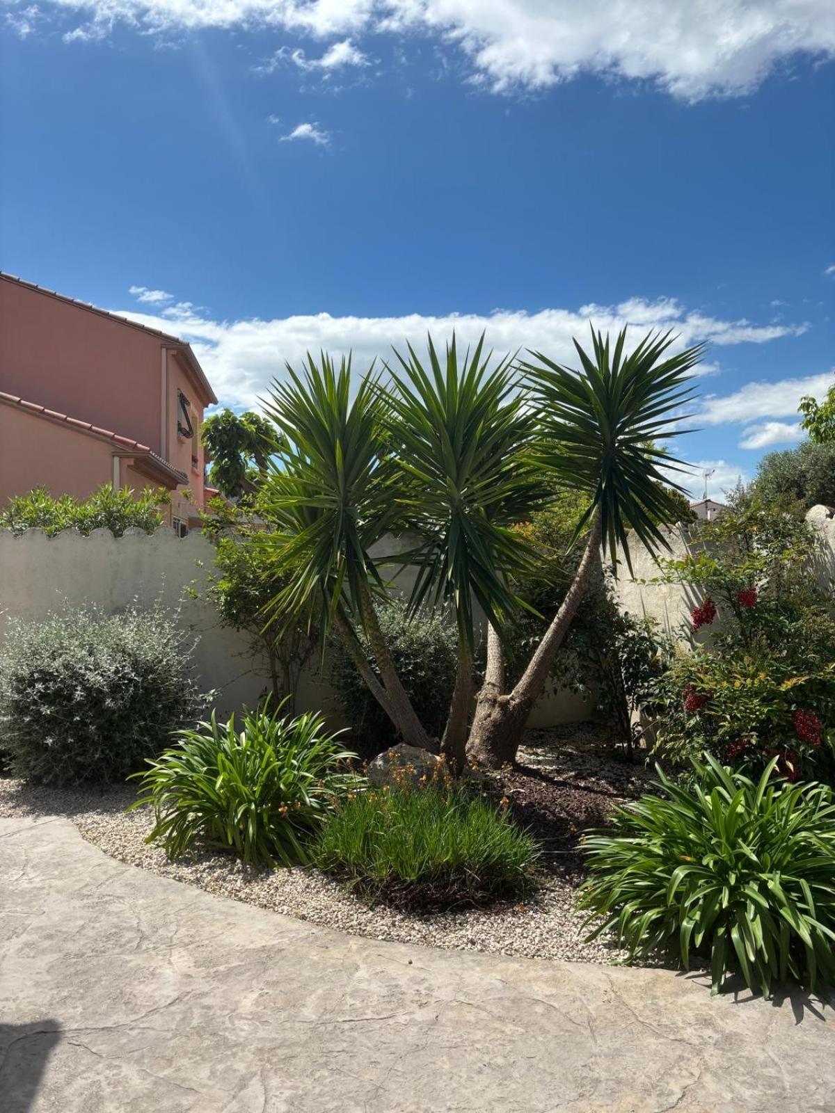 La Maison Brennus , Piscine, 15 Min Des Plages Béziers Exterior foto
